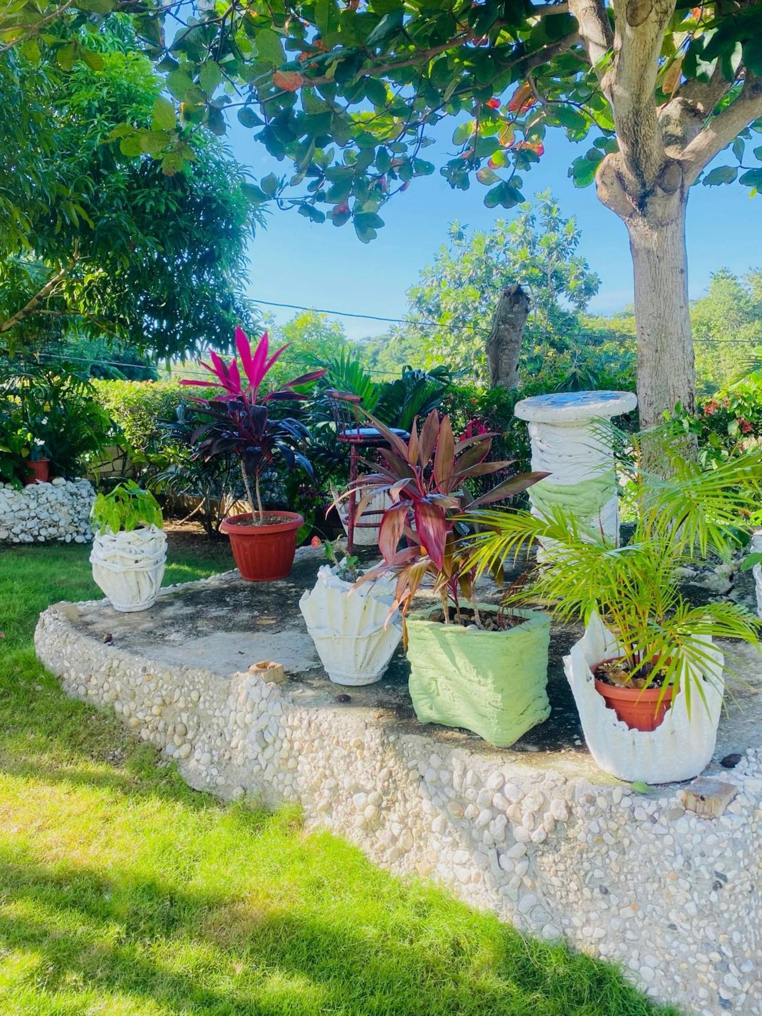 אוצ'ו ריוס Cindy'S Garden Stay מראה חיצוני תמונה